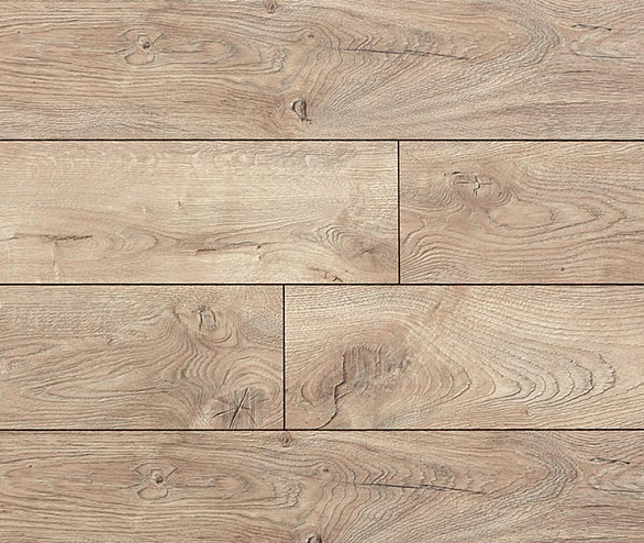 фортис (fortis)